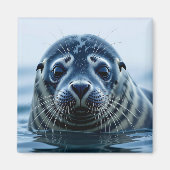 Cute Seal Close up Magneet (Voorkant)
