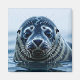 Cute Seal Close up Magneet