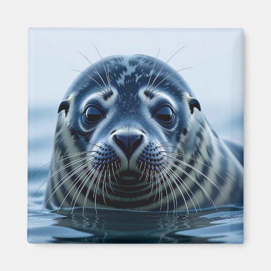 Cute Seal Close up Magneet (Voorkant)