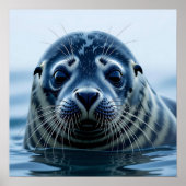 Cute Seal Close up Poster (Voorkant)