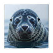 Cute Seal Close up Tegeltje (Voorkant)