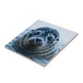 Cute Seal Close up Tegeltje (Zijkant)