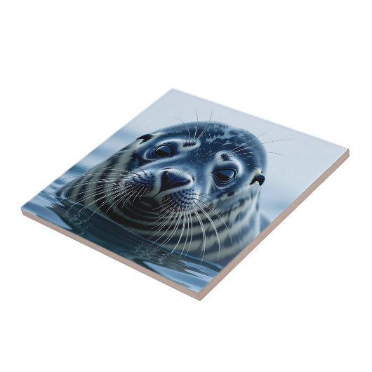 Cute Seal Close up Tegeltje (Zijkant)