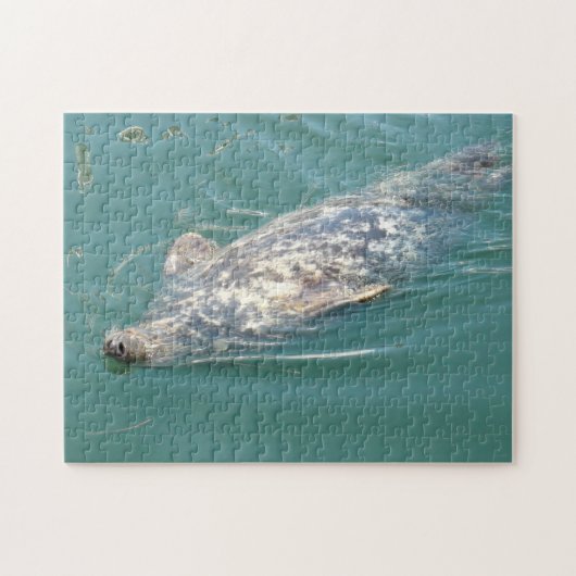 Cute Seal die op zijn rug drijft in Kaap Cod Legpuzzel (Horizontaal)