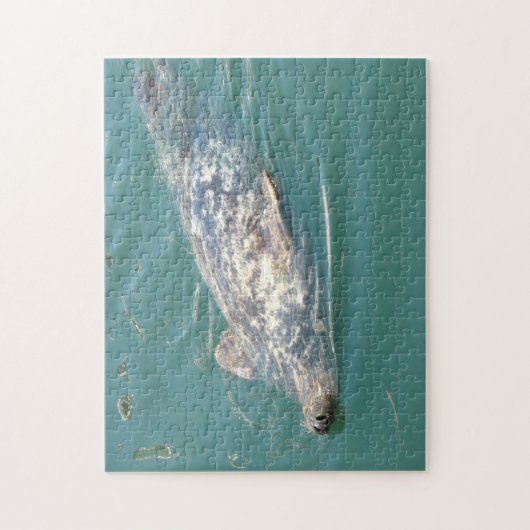 Cute Seal die op zijn rug drijft in Kaap Cod Legpuzzel (Verticaal)
