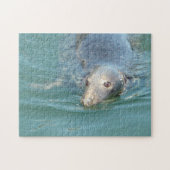 Cute Seal in Cape Cod Legpuzzel (Horizontaal)