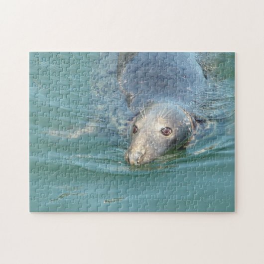 Cute Seal in Cape Cod Legpuzzel (Horizontaal)
