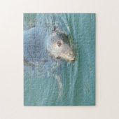 Cute Seal in Cape Cod Legpuzzel (Verticaal)