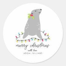 Cute Seal Kerstmis