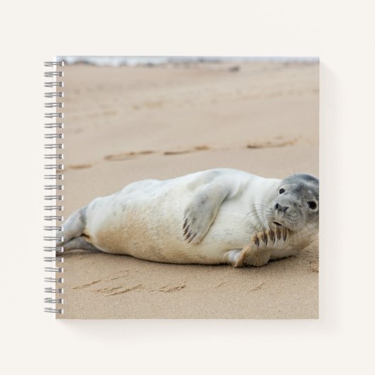 Cute Seal Posing on a Beach Notitieboek (Voorkant)
