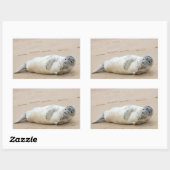 Cute Seal Posing on a Beach Rechthoekige Sticker (Vel)