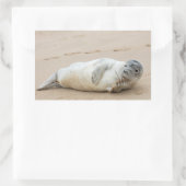 Cute Seal Posing on a Beach Rechthoekige Sticker (Tas)