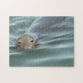 Cute Seal van Cape Cod Legpuzzel (Horizontaal)