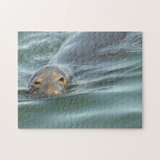 Cute Seal van Cape Cod Legpuzzel (Horizontaal)