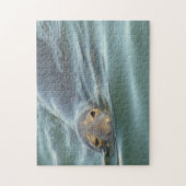 Cute Seal van Cape Cod Legpuzzel (Verticaal)