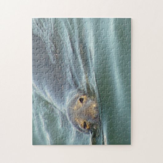 Cute Seal van Cape Cod Legpuzzel (Verticaal)