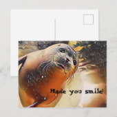Cute Seal Wildlife Pop Art maakte je glimlachen Briefkaart (Voorkant / Achterkant)