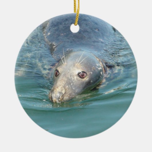 Cute Seal zwemt in Ocean Kerstmis Keepomwille Keramisch Ornament (Voorkant)