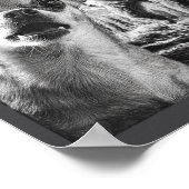 Cute Selfie Cryptid Chihuahua Humor Sasquatch Bigf Poster (Hoek)