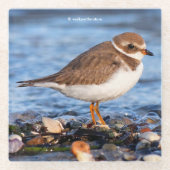Cute Semipalmated Plover Shorebird op Winter Beach Glazen Onderzetter (Voorkant)
