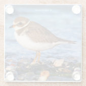 Cute Semipalmated Plover Shorebird op Winter Beach Glazen Onderzetter (Achterkant)