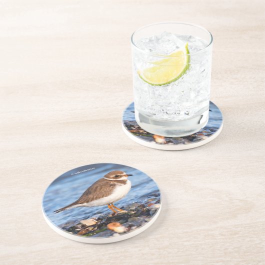 Cute Semipalmated Plover Shorebird op Winter Beach Zandsteen Onderzetter (Zijkant)