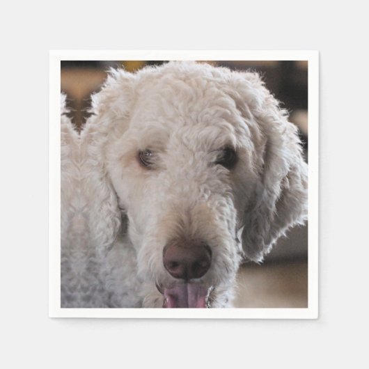 Cute Servet (Voorkant)