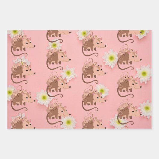 Cute Set 3 Sheets Opossum Posum Wrapping Paper (Voorkant 2)