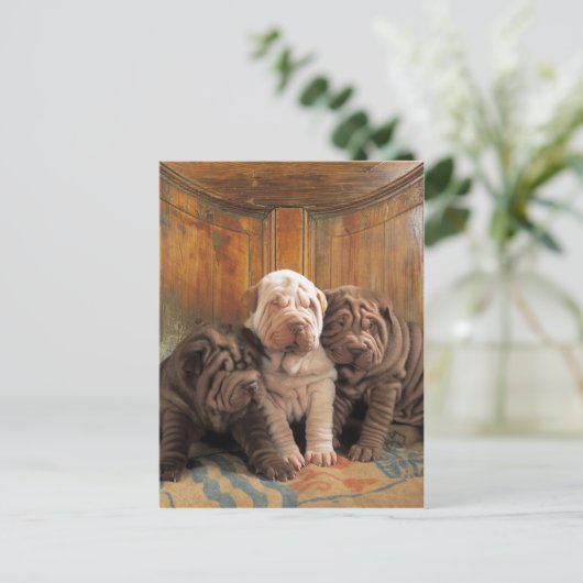 Cute Shar pei dreamers Briefkaart (Staand voorkant)