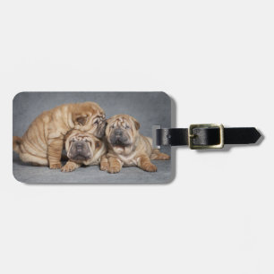 Cute Shar Pei Puppies Bagagelabel
