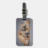 Cute Shar Pei Puppies Bagagelabel (Voorkant verticaal)