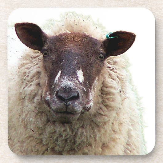 CUTE SHEEP BIER ONDERZETTER (Voorkant)