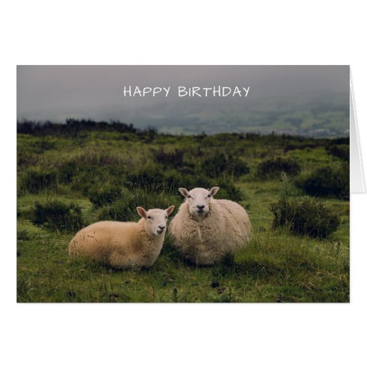 Cute Sheep Birthday Card (Voorkant Horizontaal)