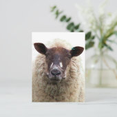 CUTE SHEEP BRIEFKAART (Staand voorkant)