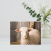 Cute Sheep Briefkaart (Staand voorkant)