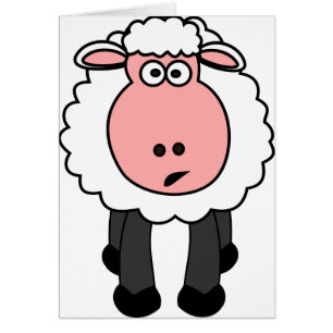 Cute Sheep Design