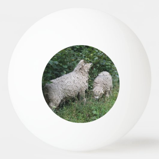 Cute Sheep Eating Leaves Ping Pong Ball (Voorkant)