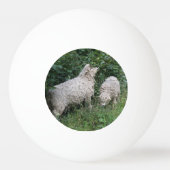 Cute Sheep Eating Leaves Ping Pong Ball (Achterkant)