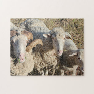 Cute Sheep Family Animals Lamb Legpuzzel