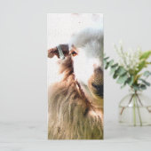 CUTE SHEEP KAART (Staand voorkant)