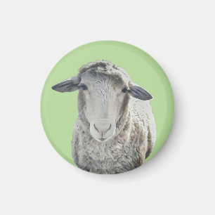 Cute Sheep Magnet