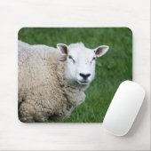 Cute Sheep Muismat (Met muis)