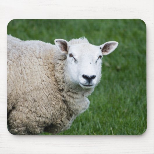 Cute Sheep Muismat (Voorkant)