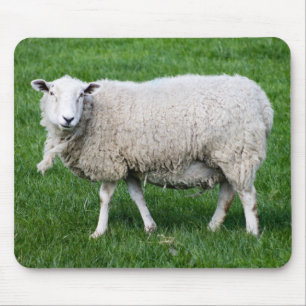 Cute Sheep Muismat