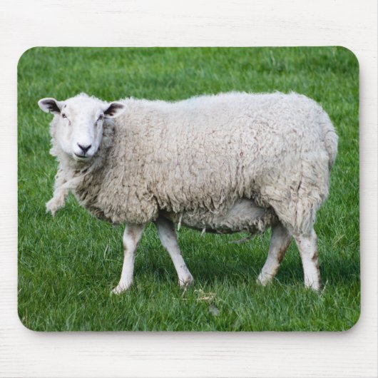Cute Sheep Muismat (Voorkant)