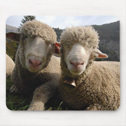 Cute Sheep Muismat (Voorkant)