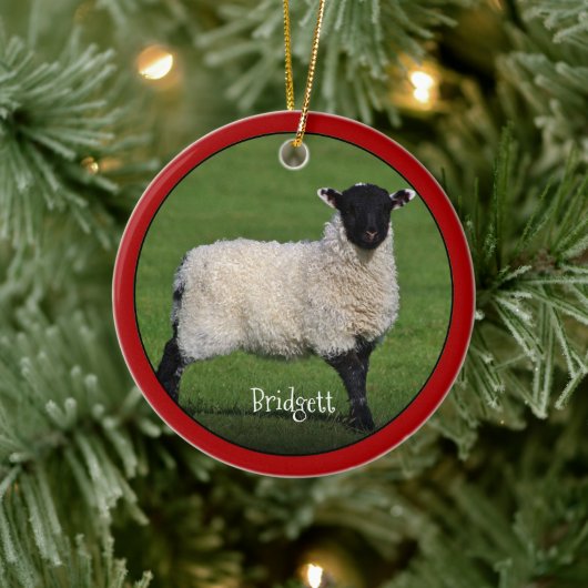 Cute Sheep Personalized Ceramic Ornament (Boom)