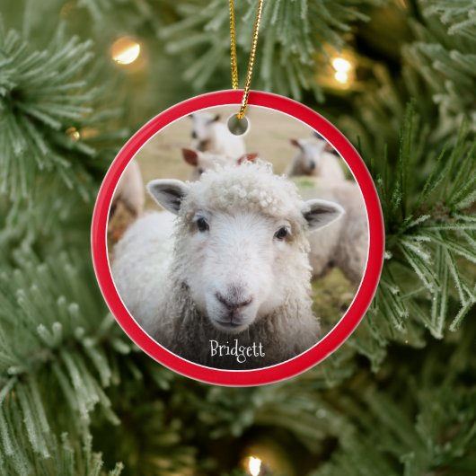 Cute Sheep Personalized Ceramic Ornament (Boom)