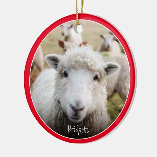 Cute Sheep Personalized Ceramic Ornament (Links)