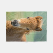 Cute Shetland Pony Foal Horse Head Frontale Foto _ Fleece Deken (Voorkant (Horizontaal))